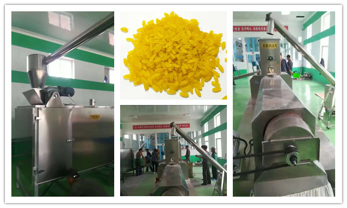 Finish Installation Of Artificial Rice Processing Line In Korea